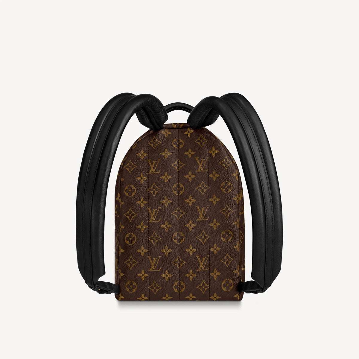 Louis Vuitton Palm Springs PM Handbag