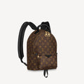 Louis Vuitton Palm Springs PM Handbag